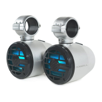 Zestaw 2 głośników do wieży wakeboard Roswell R 6.5 Tower Speakers - Anthracite Grill