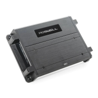 Cyfrowy wzmacniacz 2-kanałowy - Roswell R1 550.2 Amplifier